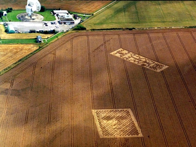 cerchio-nel-grano-arecibo2