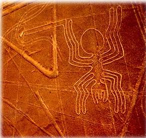 Il ragno è una delle figure più famose della Piana di Nazca e fu la prima figura ad essere scoperta. 