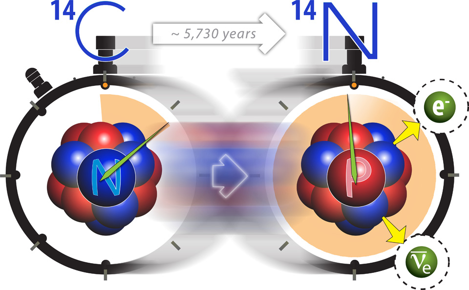 Il metodo di datazione del Carbonio 14